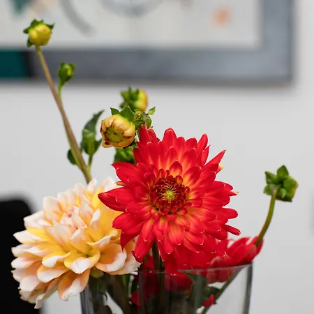 Zur Davert 3* Munster (North Rhine-Westphalia)