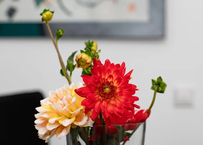 Zur Davert 3* Munster (North Rhine-Westphalia)